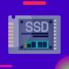 Internal Solid State Drive (SSD)